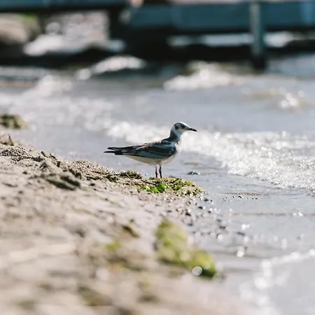 Insel Der Sinne Natur-hotel 4*