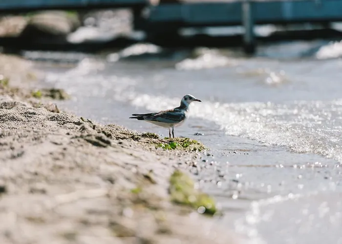 Insel Der Sinne Natur-hotel 4*